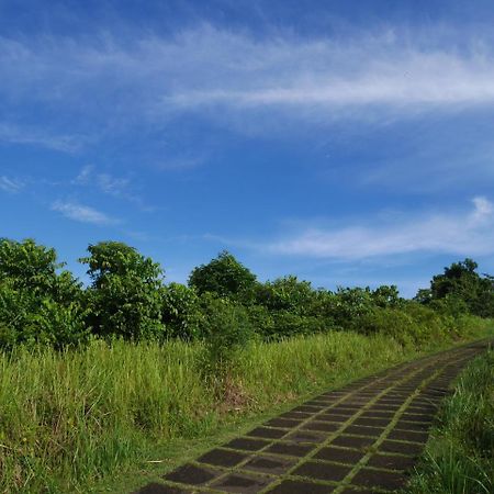Sari Villa Ubud Εξωτερικό φωτογραφία