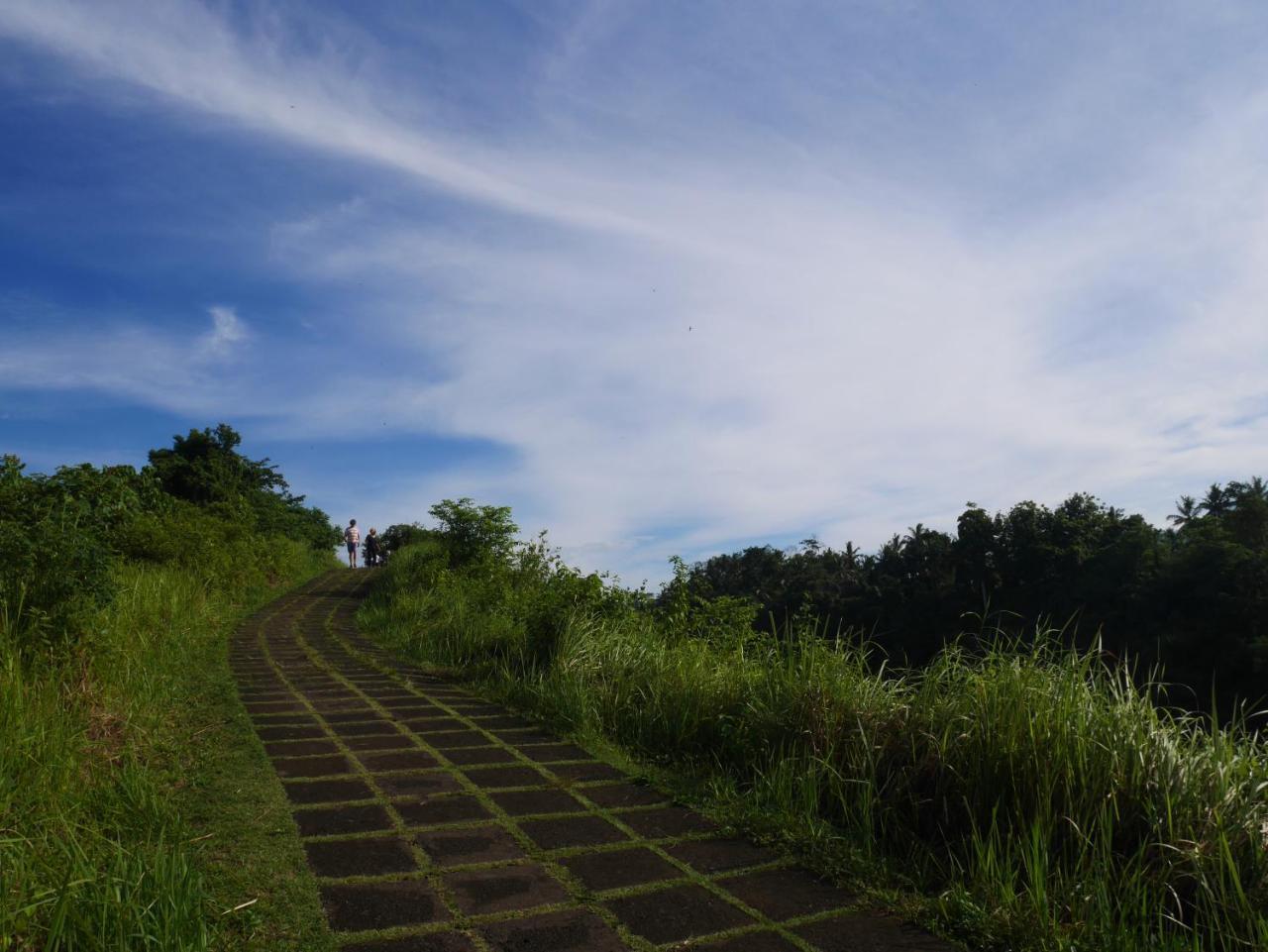 Sari Villa Ubud Εξωτερικό φωτογραφία